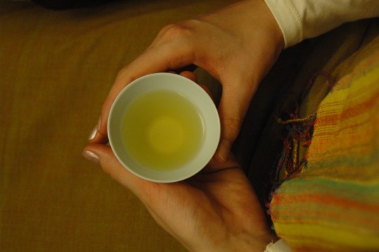 Czarka wiosennej herbaty  fot. Magdalena Rybak